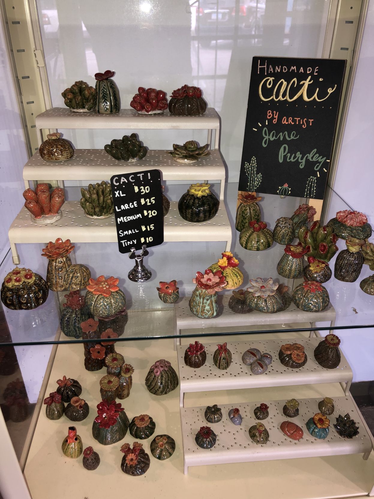 Thistle Cacti
